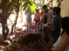 2° Minicurso de Compostagem