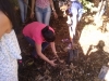 2° Minicurso de Compostagem