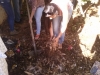 2° Minicurso de Compostagem
