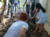 2° Minicurso de Compostagem