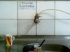 adesivagem-da-escola-jose-padilha-2-juazeiro-ba-25-07-2013
