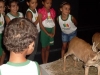 2-pev-leva-alunos-da-escola-maroquinha-petrolina-para-visita-ao-museu-da-fauna-17-06-13