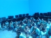 Atividade de coleta seletiva - Escola Municipal 21 de Setembro -22.10.14 - Petrolina-PE