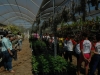 visita-ao-viveiro-de-mudas-do-crad-univasf-escola-leopoldina-leal-juazeiro-ba-26-09