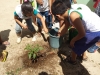 Atividade de arborização - Escola Joaquim José - Petrolina-PE - 09.05.15