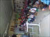 Palestra sobre arborização - Escola Municipal Professora Zélia Matias - Petrolina