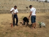Atividade de arborização da orla de Juazeiro - Projeto Escola Verde - Juazeiro-BA - 26.06.15