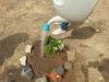 Atividade de arborização da orla de Juazeiro - Projeto Escola Verde - Juazeiro-BA - 26.06.15