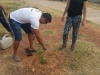 Atividade de arborização da orla de Juazeiro - Projeto Escola Verde - Juazeiro-BA - 26.06.15