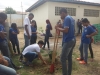 Arborização de escola mobiliza alunos, professores e gestores
