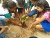 Arborização de escolas mobiliza mais de 100 pessoas