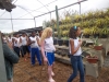 12-pev-leva-os-alunos-da-escola-judite-leal-juazeiro-para-conhecerem-as-varias-especies-da-flora-da-caatinga-no-crad-16-05-13