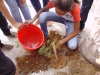 Arborização Mobiliza Alunos, Professores e Comunidade