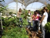 visitacaodaequipedearborizacaodopevaosviveirosdemudasdocrad