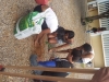Atividade de arborização - Cólegio Modelo - Juazeiro-BA - 25.07 e 01.08.15