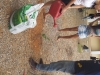 Atividade de arborização - Cólegio Modelo - Juazeiro-BA - 25.07 e 01.08.15