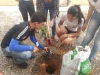 Arborizações de escolas mobilizam alunos, professores e gestores