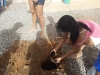 Atividade de arborização - Cólegio Modelo - Juazeiro-BA - 25.07 e 01.08.15