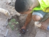Atividade de arborização - Cólegio Modelo - Juazeiro-BA - 25.07 e 01.08.15
