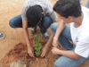 Projeto Vizinhança Arborizada - Bairro Castelo Branco - Juazeiro-BA - 02.07.15