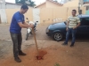 Projeto Vizinhança Arborizada - Bairro Castelo Branco - Juazeiro-BA - 02.07.15