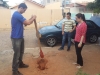 Projeto Vizinhança Arborizada - Bairro Castelo Branco - Juazeiro-BA - 02.07.15