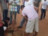 Projeto Vizinhança Arborizada - Bairro Castelo Branco - Juazeiro-BA - 02.07.15