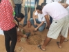 projeto-vizinhanca-arborizada-bairro-castelo-branco-juazeiro-ba-02-07-1517