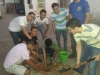 Projeto Vizinhança Arborizada - Bairro Castelo Branco - Juazeiro-BA - 02.07.15