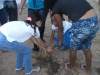 Atividade de arborização - Escola Municipal Professor Nicolau Boscardin - Petrolina-PE - 10.06.15