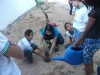 Atividade de arborização - Escola Municipal Professor Nicolau Boscardin - Petrolina-PE - 10.06.15