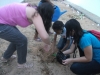 Atividade de arborização - Escola Municipal Professor Nicolau Boscardin - Petrolina-PE - 10.06.15
