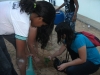 Atividade de arborização - Escola Municipal Professor Nicolau Boscardin - Petrolina-PE - 10.06.15
