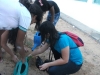 Atividade de arborização - Escola Municipal Professor Nicolau Boscardin - Petrolina-PE - 10.06.15