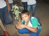 Arborizações do PEV movimentam escolas públicas