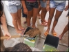 Atividade de arborização - Casa Lar Sementes do Amanhã - 06.12.14 - Petrolina-PE