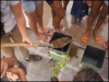 Atividade de arborização - Casa Lar Sementes do Amanhã - 06.12.14 - Petrolina-PE