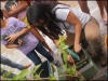 Atividade de arborização - Casa Lar Sementes do Amanhã - 06.12.14 - Petrolina-PE