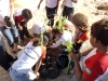 Atividade de Arborização comemora o Dia da Árvore