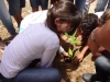 Atividade de Arborização na Escola José Padilha de Souza - Juazeiro - BA, 18/09/2013