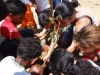 Atividade de Arborização na Escola José Padilha de Souza - Juazeiro - BA, 18/09/2013