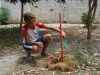 Atividade de Arborização na Escola José Padilha de Souza - Juazeiro - BA, 18/09/2013