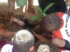 Atividade de Arborização na Escola Municipal Paulo VI, no Bairro Maria Goreti, Juazeiro - BA