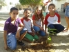 Atividade de Arborização na Escola Municipal Paulo VI, no Bairro Maria Goreti, Juazeiro - BA