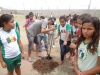 Atividade de Arborização na Escola Maria Soledade Alves, Petrolina-PE - 06.12.13