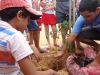 Atividade de Arborização na Escola Ricardina Ferreira, Petrolina-PE - 06.12.13