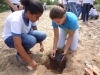 Atividade de Arborização na Escola Pe Luiz Cassiano - Petrolina - PE - 06.05.2014
