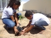 Atividade de Arborização na Escola Pe Luiz Cassiano - Petrolina - PE - 06.05.2014