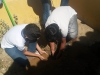 Atividade de Arborização na Escola Humberto Soares - Petrolina-PE - 14.05.2014