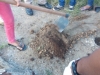 Atividade de arborização - Escola Nossa Senhora Rainha dos Anjos (CAIC) - Petrolina-PE - 09.04.2015